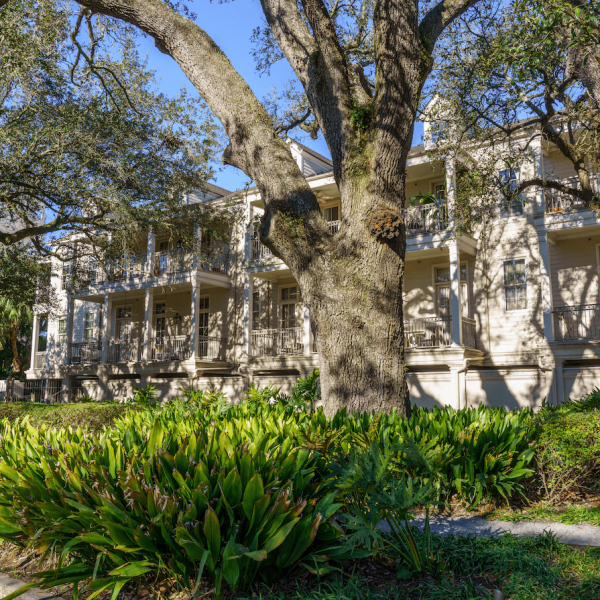 Uptown Property Management New Orleans